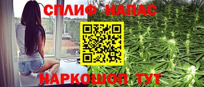прущие грибы Жуковский