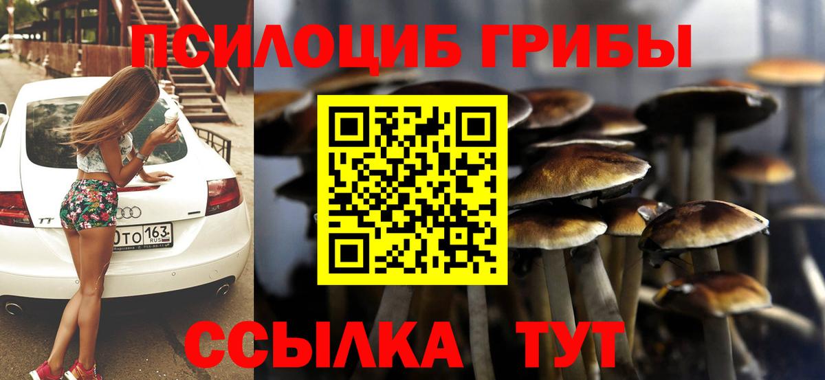 Галлюциногенные грибы Psilocybe  Вход с VPN  Лянтор 